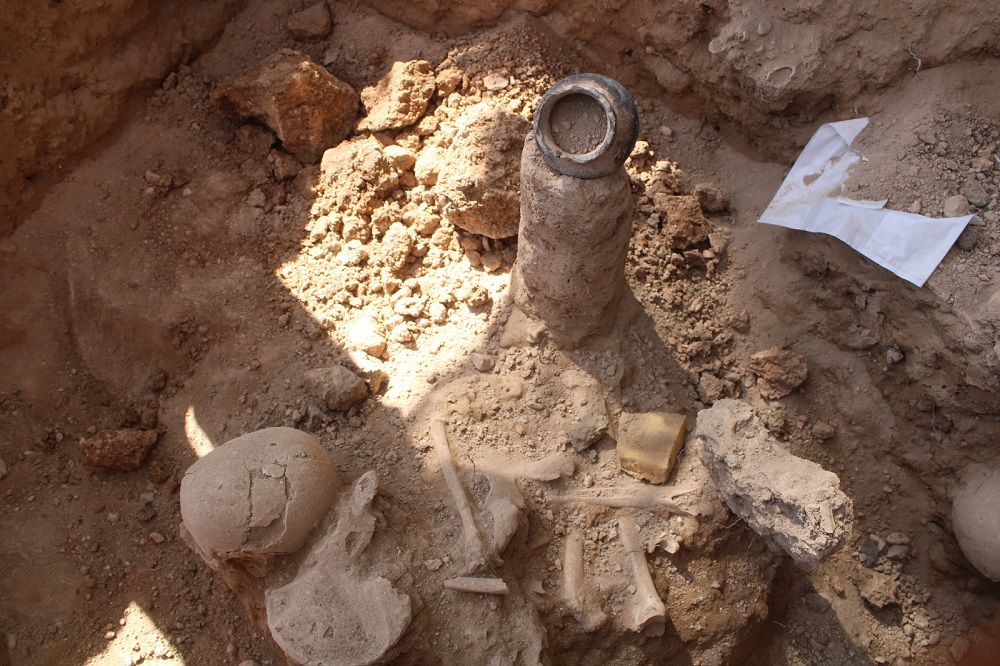 Հնագիտական պեղումներ՝ Նոր Արմավիր գյուղի տարածքում